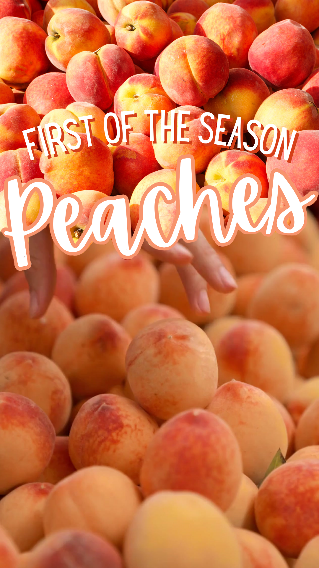 Peaches & Nectarines 